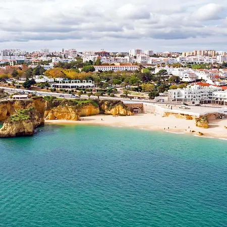 B61 - Carnation Sun In * לאגוּ‏ש