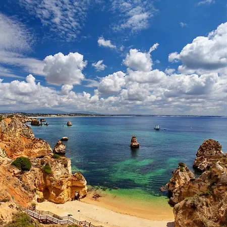 B61 - Carnation Sun In דירה