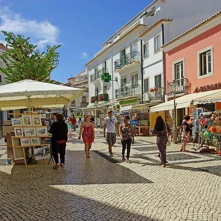 B61 - Carnation Sun In Apartman Lagos