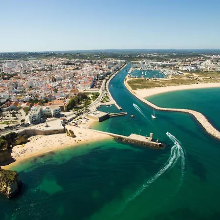 B61 - Carnation Sun In דירה *