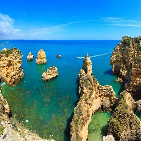 B61 - Carnation Sun In Apartman *