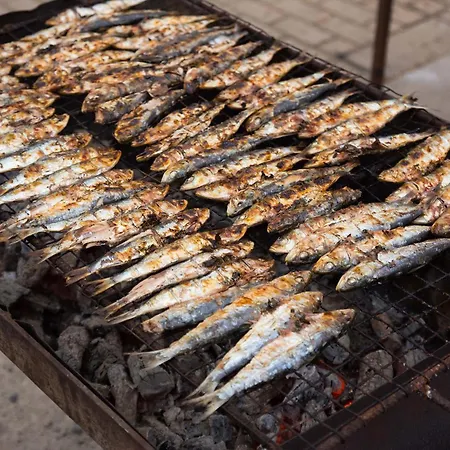 B61 - Carnation Sun In Lagos