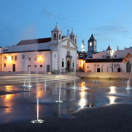 B61 - Carnation Sun In *