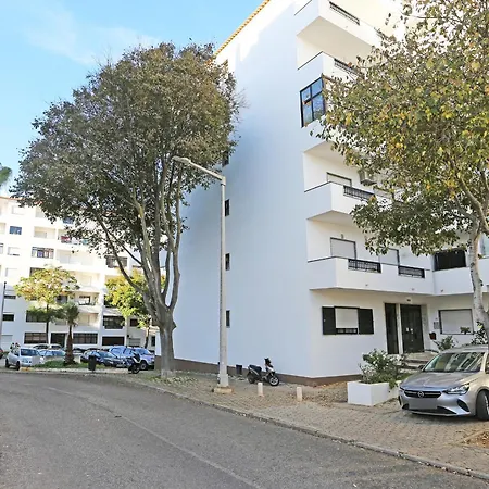 B61 - Carnation Sun In Lagos