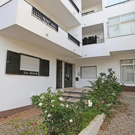 B61 - Carnation Sun In