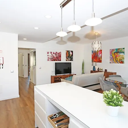 B61 - Carnation Sun In Apartment *