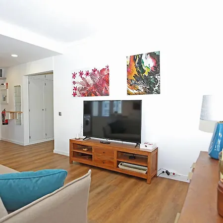 B61 - Carnation Sun In Appartement